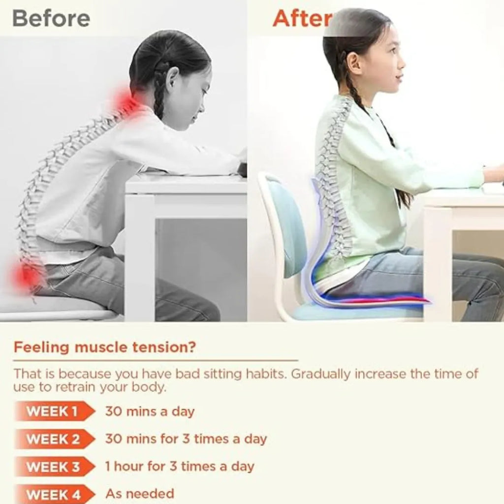 Comfort Posture Correction Chair Seat Ergonomic Back Support